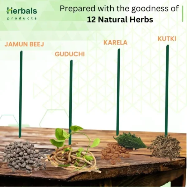 Two Months Pack Madhu Sudha:- Unlock Natural Solutions for Diabetes Control - Image 7